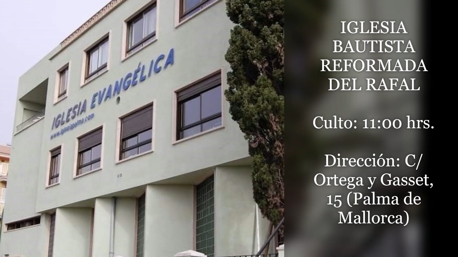 Nuevo curso de aprendizaje básico